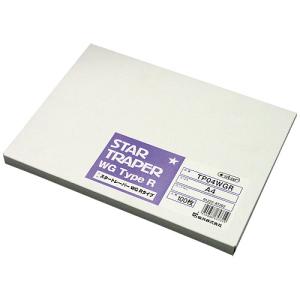 桜井　スタートレーパーWG TP04WGR 100枚入