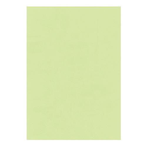 ＮＢ ＰＰＣカラー用紙 紙厚６７ｇ平米  Ｂ４ ５００枚入り グリーン ＰＰＣ−ＪＣＢ４Ｇ 入数：5