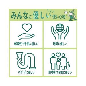 ミマスクリ-ンケア 緑の魔女 キッチン 本体 ...の詳細画像3