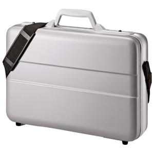 サンワサプライ ａｂｓハードｐｃケース Bag Abs5n2 お得な１０パックセット Www Vividarts Co Uk