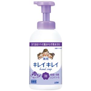 Biore 花王 ビオレ ザハンド 泡ハンドソープ ハーバルウッドの香り