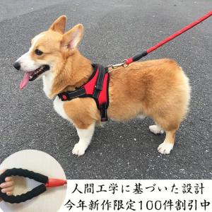 犬用ハーネス 犬用リード 小型犬用 中型犬用 ハーネスリードセット ハーネス&amp;リード 犬の胴輪 セット 一体型 ペット用品