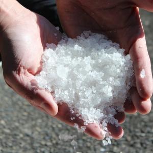 原塩 1kg(200L 0.5%塩浴向け)の詳細画像1