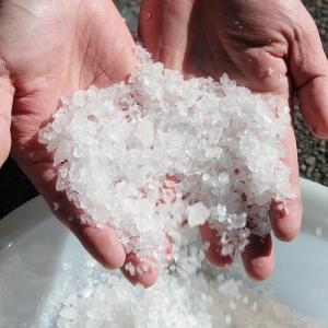 原塩 1kg(200L 0.5%塩浴向け)の詳細画像2