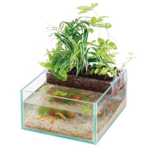 メダカ 水槽のランキングtop100 人気売れ筋ランキング Yahoo ショッピング