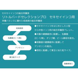 イースター リトルバードセレクションプロ セキ...の詳細画像1