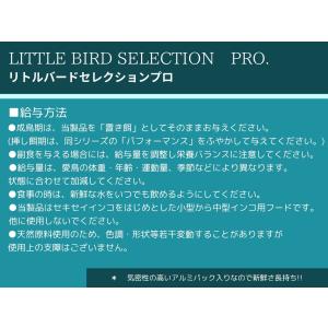 イースター リトルバードセレクションプロ セキ...の詳細画像2