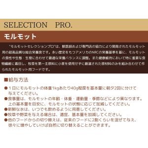 イースター モルモットセレクションプロ 600...の詳細画像2