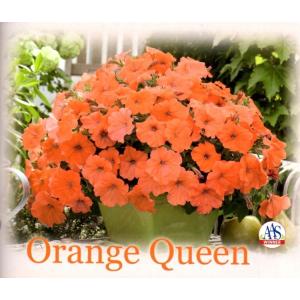 清水屋種苗園芸ヤフーショップ 営利用ペチュニア 草花のタネ 営利用 Yahoo ショッピング