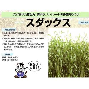 スダックス　20ｋｇ【ソルガム種子】カネコ種苗　★3月以降のお届けを予定