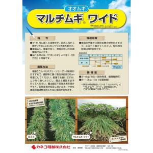 【オオムギ種子】カネコ種苗　リビングマルチ用麦　「マルチムギワイド」　20ｋｇ　★お届けは3月以降を予定