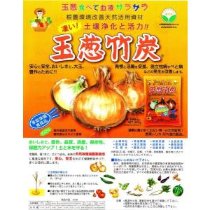 活力資材】「玉葱竹炭（たまねぎちくたん）」300g ☆送料別途 : 清水