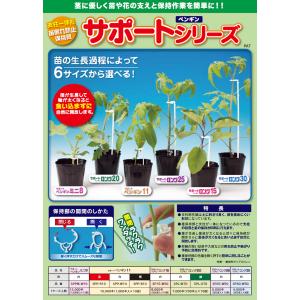 生産資材】接木用資材 サポートロング20cm（ナス・トマト・ピーマン用