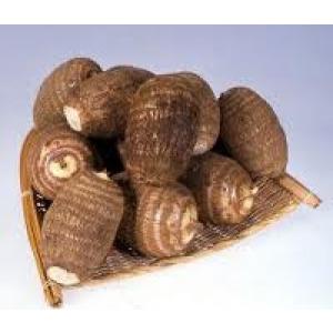 【里いもタネ】　土垂れ　（どたれ）1kg　★発送は4月上旬より随時