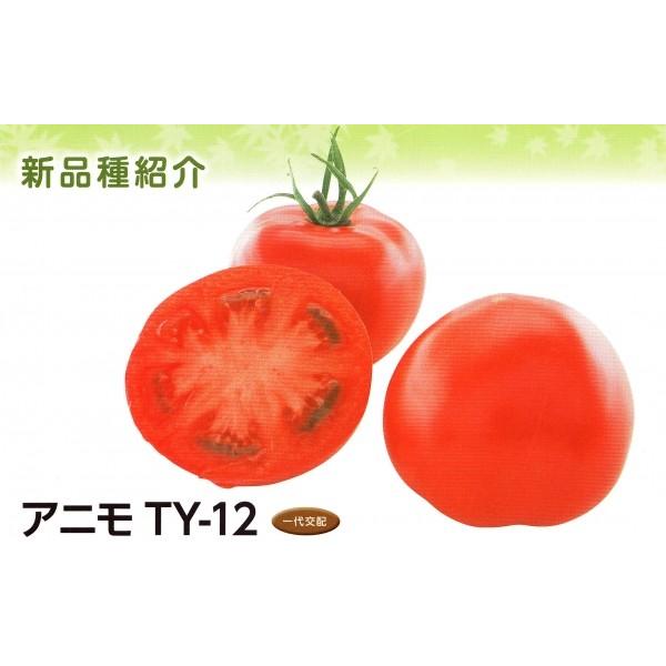 【トマト種子】武蔵野交配　黄化葉巻耐病性品種『アニモＴＹ-12』小袋　★朝日工業共同販売品種　★12...