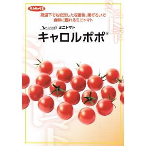 【ミニトマト種子】サカタ交配　キャロルポポ　小袋　★新タネのお届けは12月以降を予定