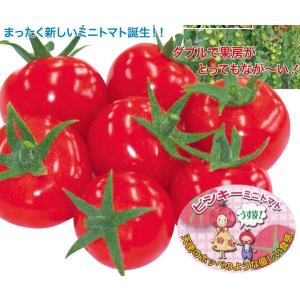 ミニトマト ピンキーの商品一覧 通販 Yahoo ショッピング