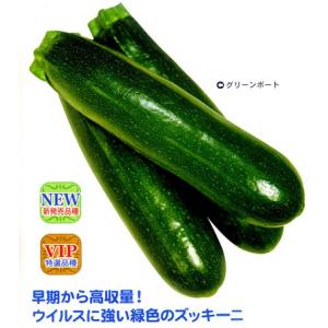 【ズッキーニ種子】　カネコ交配　　グリーンボート2号　10粒　★1月中旬ころよりお届け予定