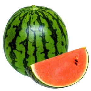 　宇治交配（丸種）　姫甘泉シャリエ（ひめかんせん）　小袋　新タネは種子切り替えの１月以降のお届を予定