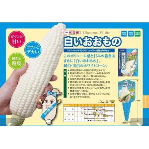 大特価！】野菜の種/種子 おおもの83・とうもろこし・スイートコーン
