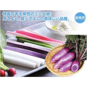 八江農芸 ダイコン だいこん 大根 赤首女山三月 20ml : 種苗・園芸