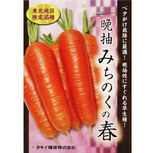 ニンジン　種　アロマレッド　１万粒　2袋 ニンジン 種 アロマレッド 1万粒 2袋 楽天市場】アロマレッド