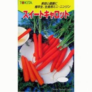 ニンジン　種　アロマレッド　１万粒　2袋 ニンジン 種 アロマレッド 1万粒 2袋 楽天市場】アロマレッド