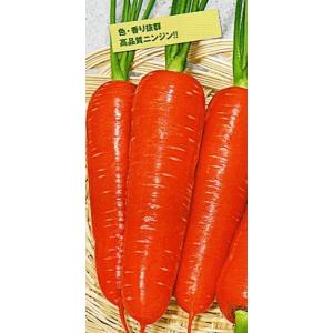 ニンジン種子】トーホク交配 「アロマレッド」 5ml : 清水屋種苗園芸