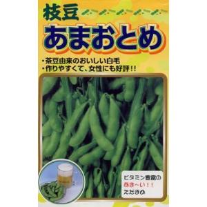 エダマメ種子】佐藤政行種苗 茶豆5号（90日中生）50ml （旧：庄内茶豆