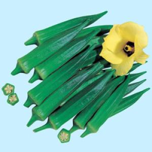 アーリーファイブ 1000粒 オクラ種子【野菜種子】【タキイ種苗