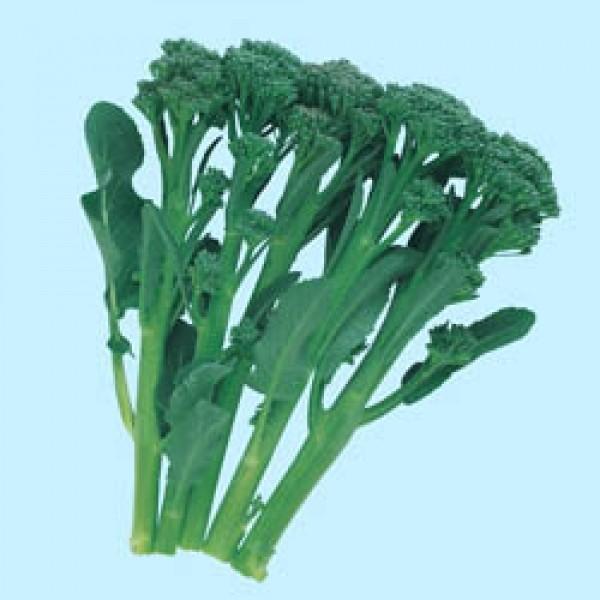 【ブロッコリー種子】タキイ交配　茎ブロッコリー「グリーンボイス」　DF小袋（0.9ml）
