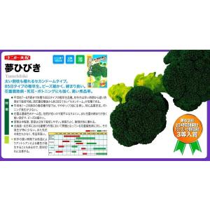 SK9-099 ブロッコリー種子 ペレット5000粒 【野菜種子】【サカタのタネ