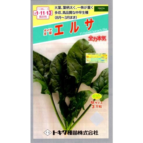 【ほうれん草種子】ダイヤ交配（トキタ種苗）　エルサ　3万粒