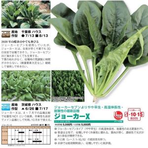 【ホウレンソウ種子】ダイヤ交配(トキタ種苗) 「...の商品画像