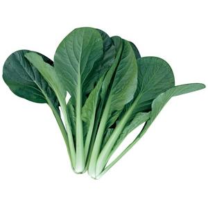 トキタ　真夏の四番打者　小松菜　種　こまつな　1個 コマツナ 種 『真夏の四番打者』 トキタ種苗 | たね,葉菜の種