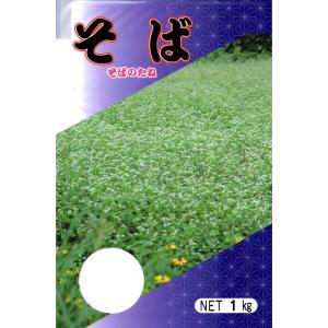 「南部そば」1kg【そばのタネ（玄ソバ）種子】岩手県産　作り易い夏蕎麦・秋蕎麦の品種