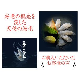 天使の海老 20〜30尾 20/30サイズ 1...の詳細画像4