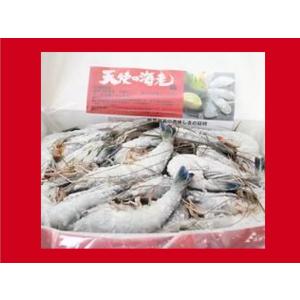 天使の海老 20〜30尾 20/30サイズ 1...の詳細画像2