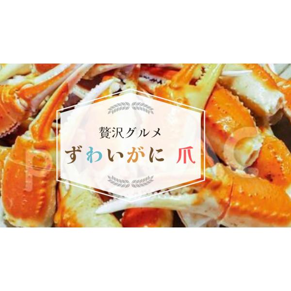 冷凍 ボイル 本ズワイガニ 爪