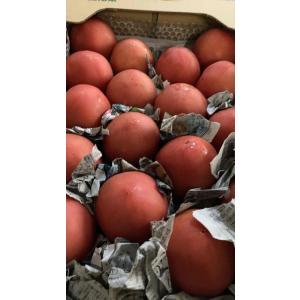 国産 訳あり トマト約3kg入りX1ケースの詳細画像3