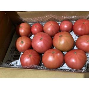 国産 訳あり トマト約3kg入りX1ケースの詳細画像5