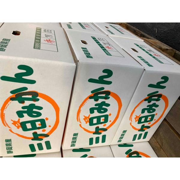 静岡、三ケ日、浜名湖、蒲郡、豊橋産　訳ありみかん　Ｌサイズ　約4ｋｇ    お歳暮熨斗対応いたします...