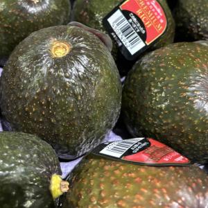 メキシコ産 アボカド 24〜30玉入り （箱） : 生鮮卸売市場 - 通販