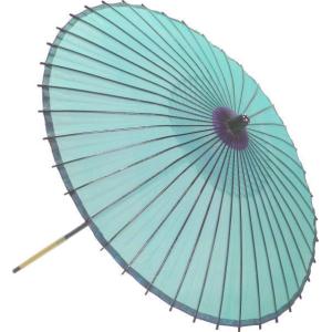 絹傘18 草 国産 2本継 装飾・文化祭・大道芸・コスプレ【舞台・舞傘