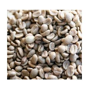 ペルー　コーヒー豆 増量250g