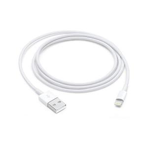 Apple Lightning - USBケーブル(1 m)...