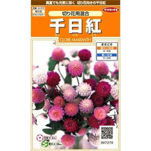 センニチコウ 種（種、種子）の商品一覧 | 花、ガーデニング 通販 