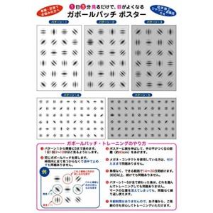 お風呂学習ポスターシリーズ (目が良くなる)