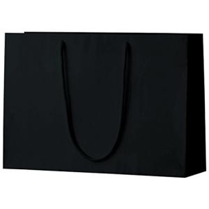 丸玉工業 紙袋 シャイニーバッグ 手提げ袋 Lサイズワイド 黒 10枚