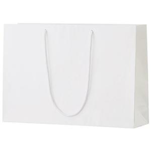 丸玉工業 紙袋 シャイニーバッグ 手提げ袋 Lサイズワイド 白 10枚